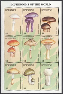 Доминика, 1998, Грибы, лист